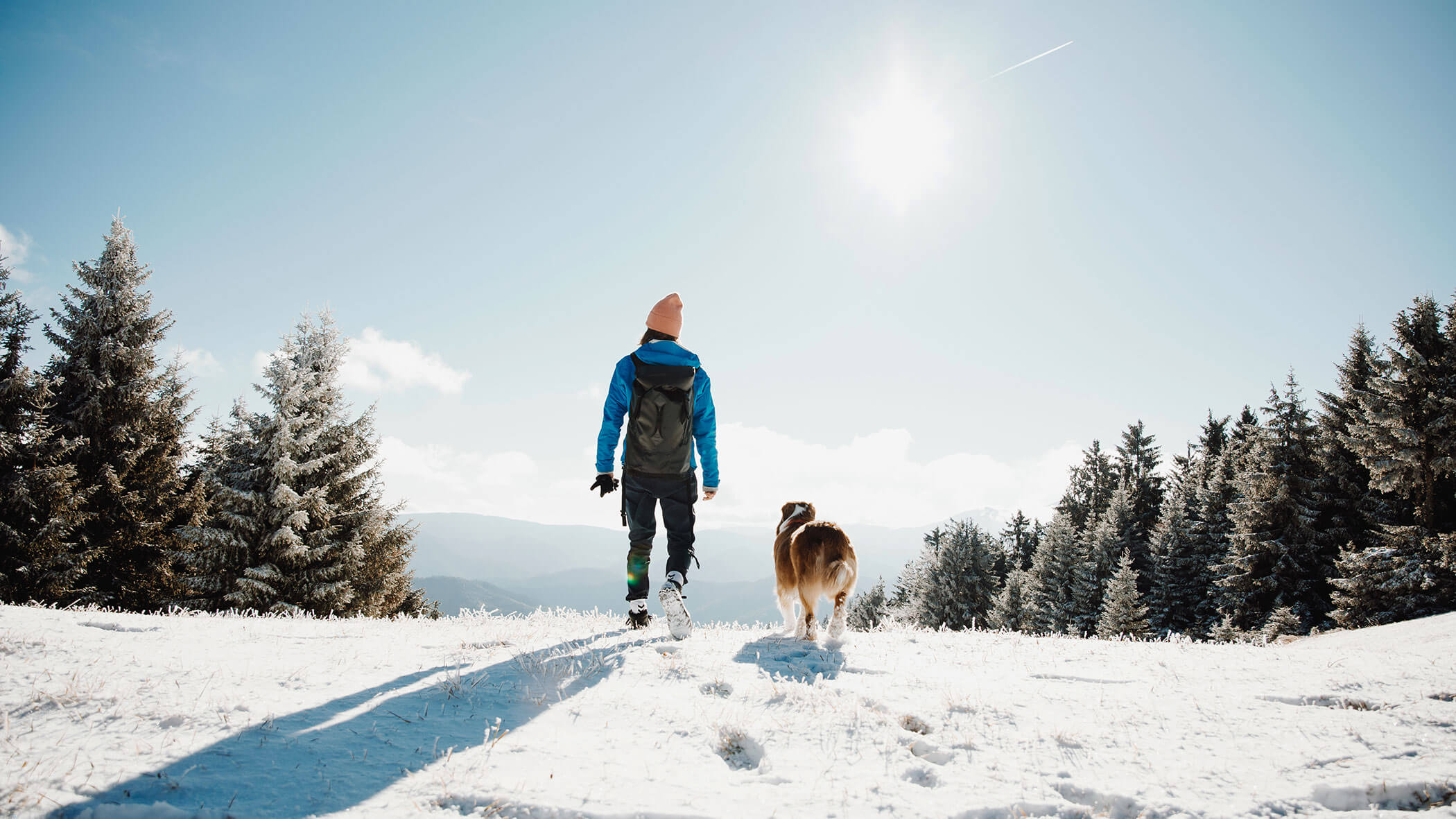 Mensch und Hund gehen auf einem verschneiten Feld der Sonne entgegen, umgeben von immergrünen Bäumen und Bergen. - Hotel B&B MyLiving