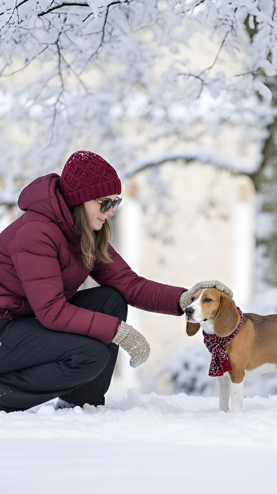 Frau in Winterkleidung streichelt einen Beagle-Hund im Schnee unter verschneiten Ästen. - Hotel B&B MyLiving