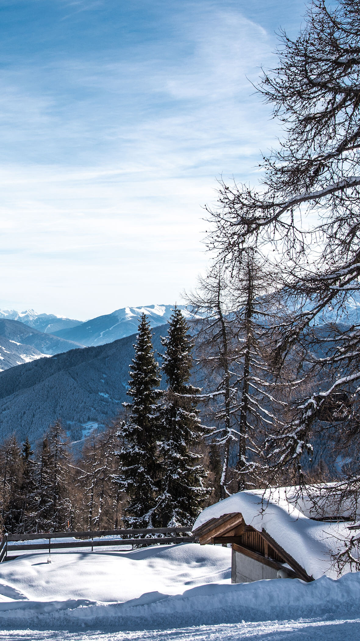 Schneebedeckte Hütte und Kiefern mit Bergen im Hintergrund unter einem klaren blauen Himmel. - Hotel B&B MyLiving