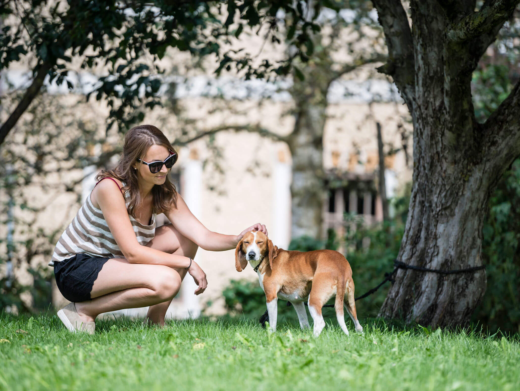 Frau mit Sonnenbrille, die sich hinhockt und einen braun-weißen Hund unter einem Baum auf einer Wiese streichelt. - Hotel B&B MyLiving