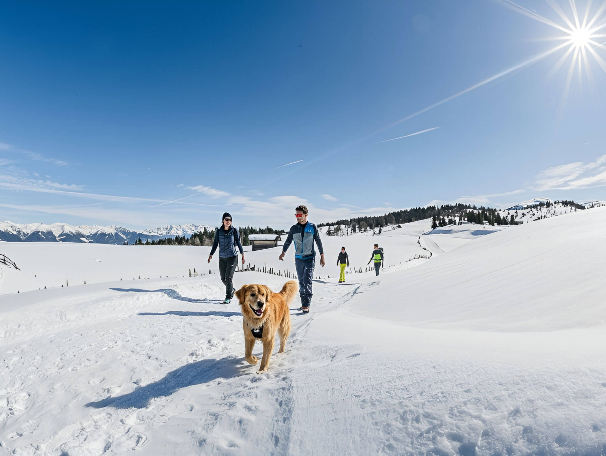 Menschen und ein Hund wandern auf einem verschneiten Pfad in den Bergen unter einem klaren blauen Himmel mit strahlender Sonne. - Hotel B&B MyLiving