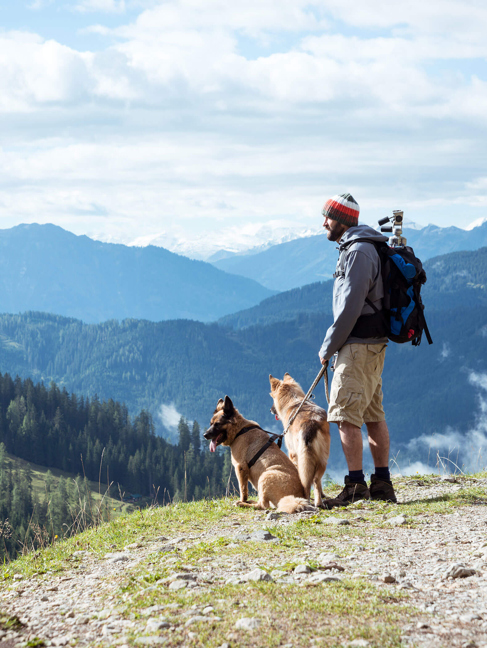 Ein Mann mit zwei Hunden steht auf einem Bergpfad und überblickt ein malerisches Tal mit bewaldeten Hügeln. - Hotel B&B MyLiving