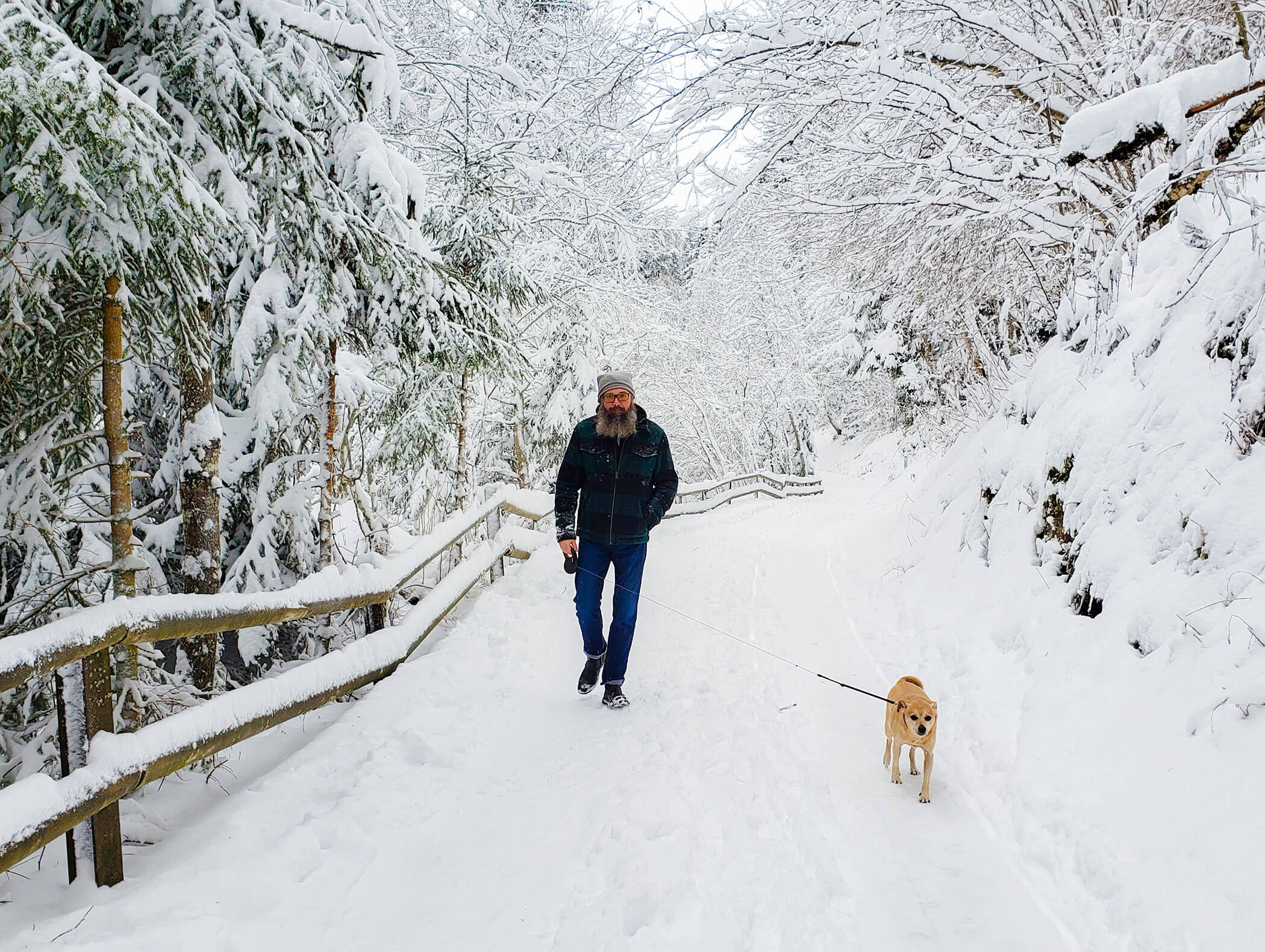Ein Mann geht an einem Wintertag mit seinem Hund einen verschneiten Weg entlang, der von Bäumen und Holzzäunen gesäumt ist. - Hotel B&B MyLiving