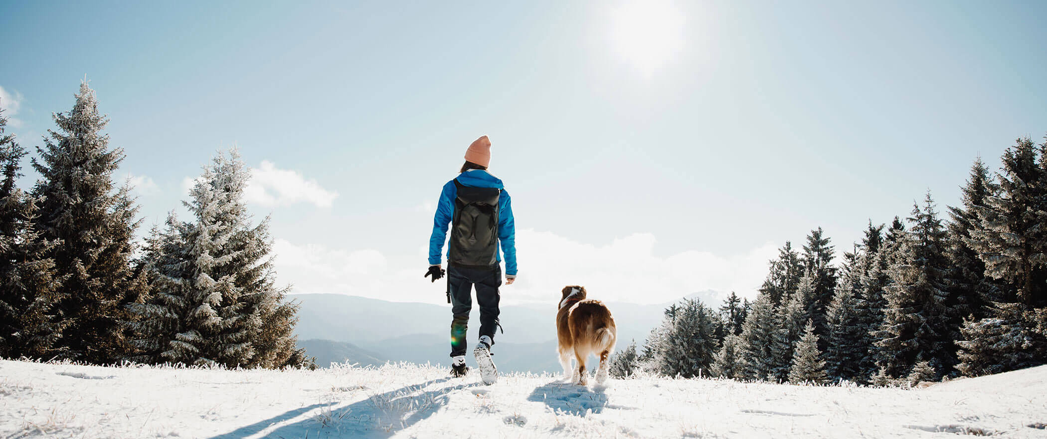 Mensch und Hund gehen zusammen in einer verschneiten, sonnenbeschienenen Landschaft, umgeben von Kiefern. - Hotel B&B MyLiving